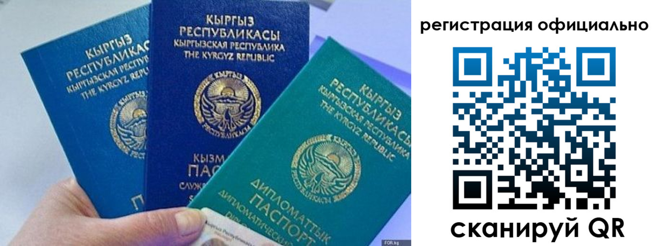 прописка в Ковдоре